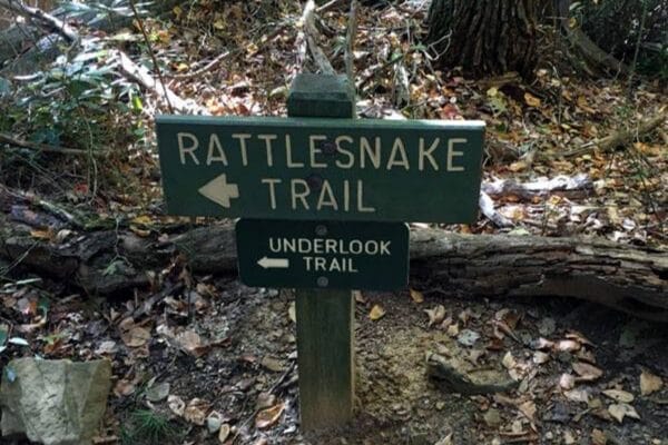 Rattlesnake trail sign at Cooper's Rock State Forest