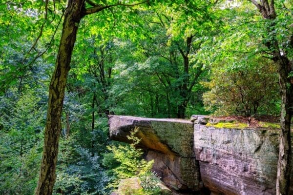 Rocks on the Rattlesnake Trail at Cooper's Rock State Forest