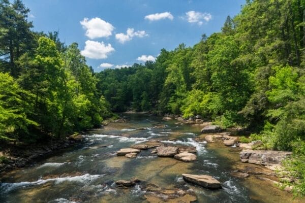 River at Audra State Park