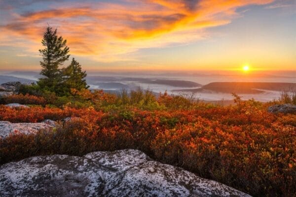 Dolly Sods at sunrise