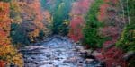 fall foliage in west virginia