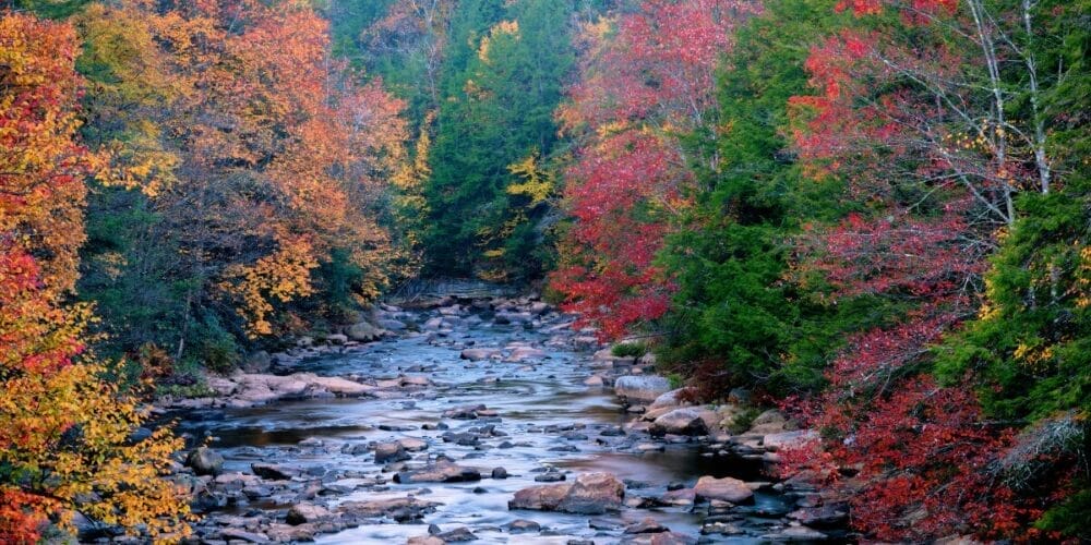 fall foliage in west virginia